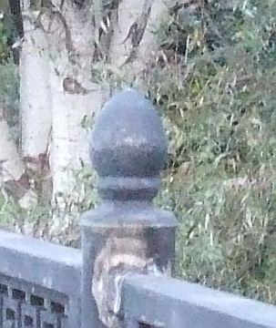 Прикрепленное изображение: 001.jpg